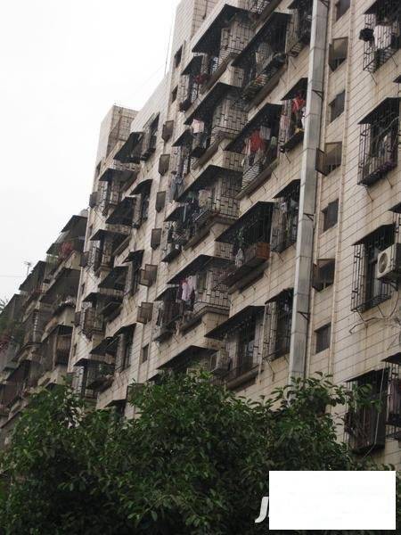 宝安35区住宅楼实景图图片