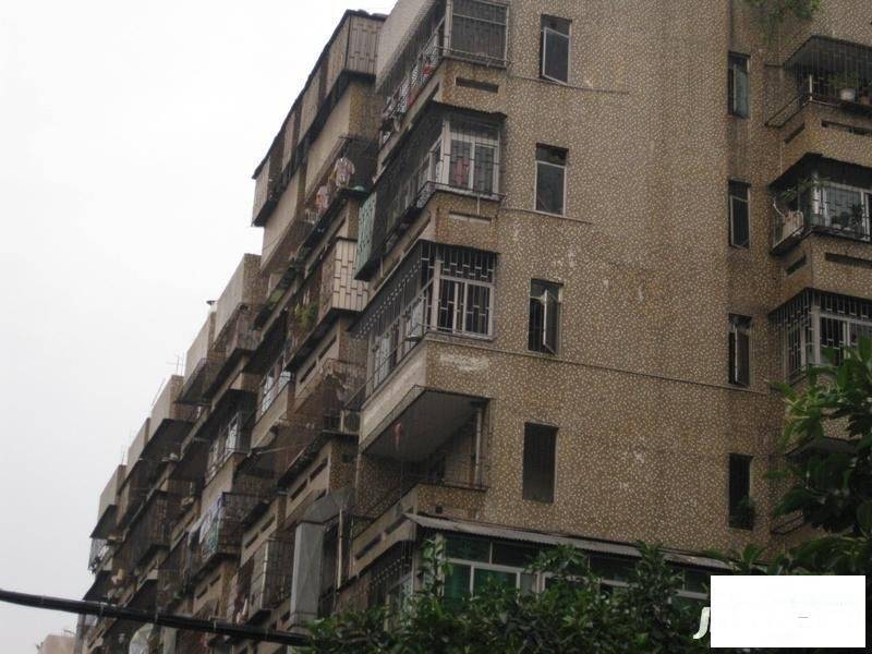 宝安35区住宅楼实景图图片