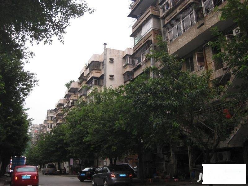 宝安35区住宅楼实景图图片