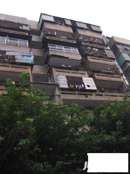 宝安35区住宅楼实景图图片
