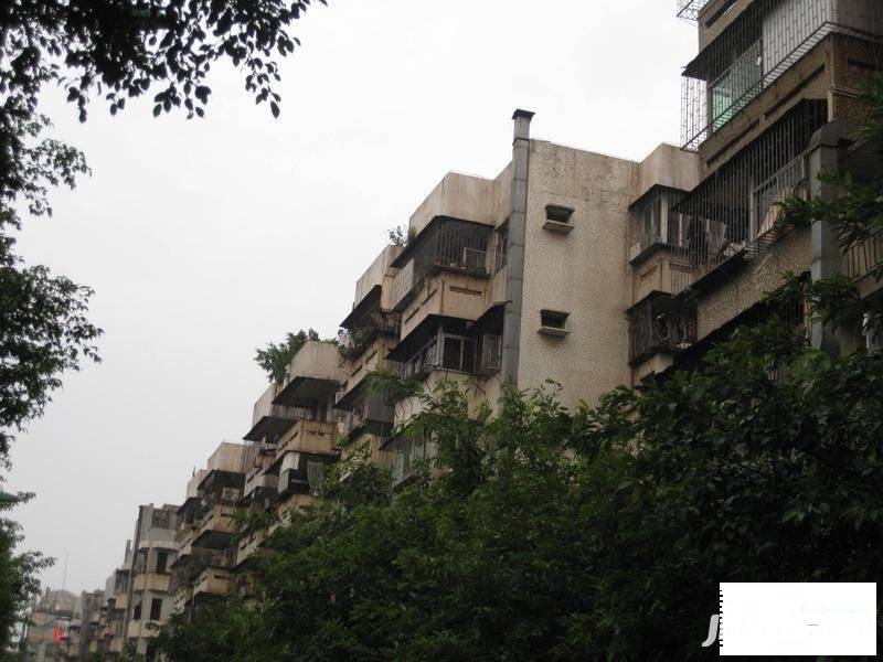 宝安35区住宅楼实景图图片