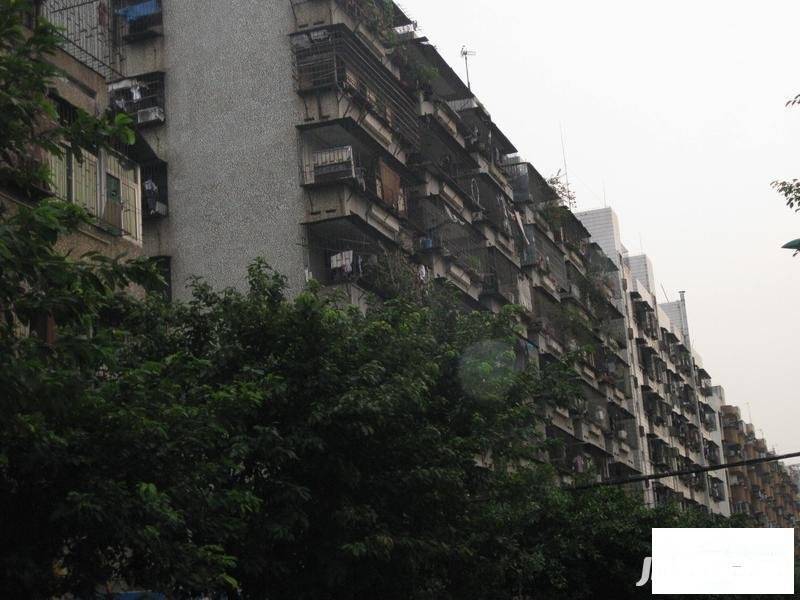 宝安35区住宅楼实景图图片
