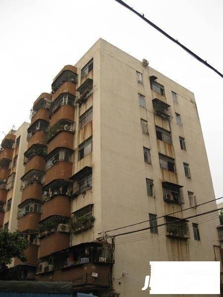 宝安35区住宅楼实景图图片