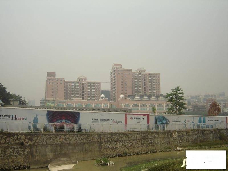 新安湖住宅楼实景图图片