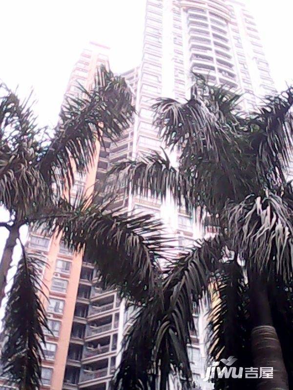 丽阳天下实景图图片