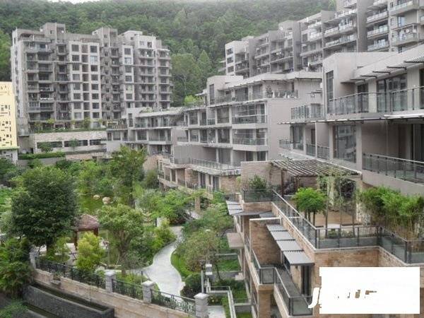 旭飞桐林半山花园实景图图片