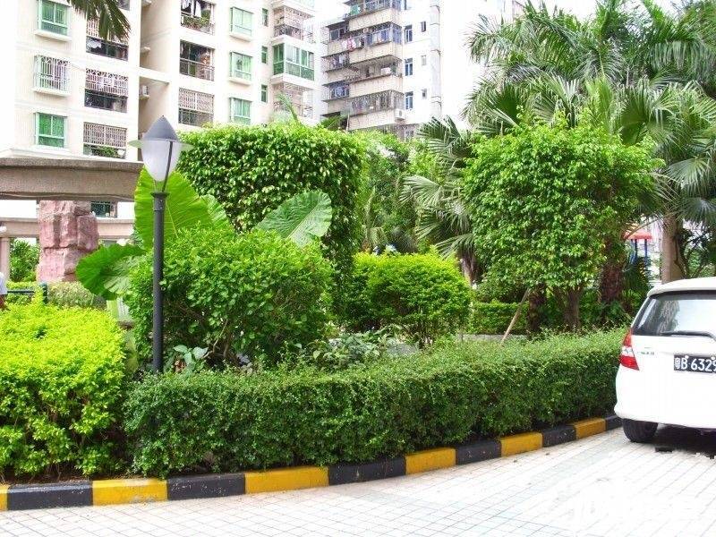 聚福花园二期实景图图片