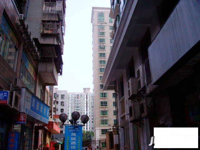 聚福花园二期实景图图片