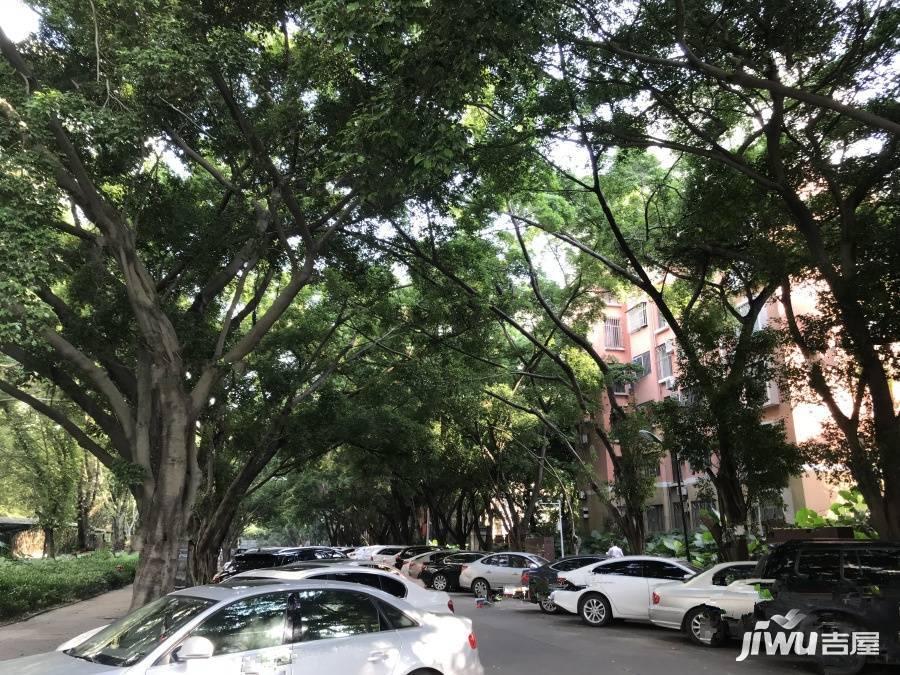 桃源居首府别墅实景图图片