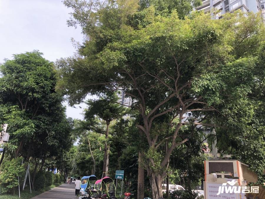 第五大道三期实景图图片