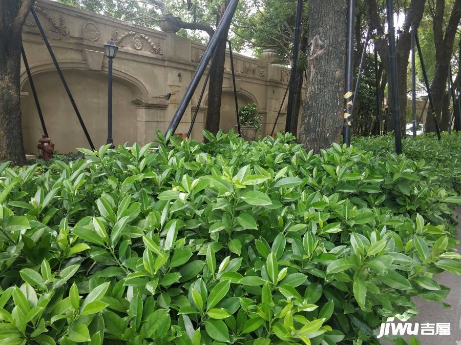 万科金色领域二期实景图图片