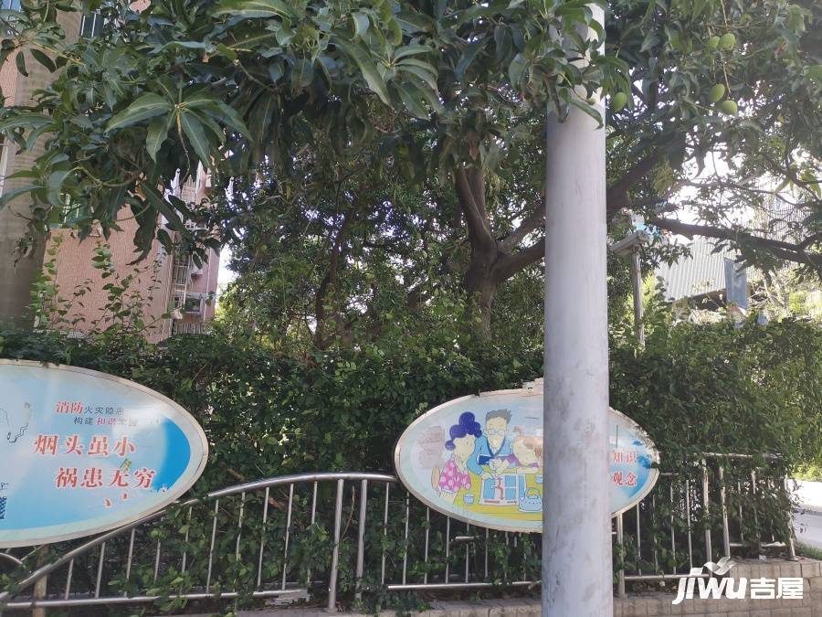 泰华住宅楼实景图图片