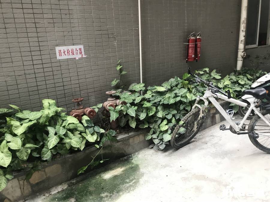 永恒楼实景图图片