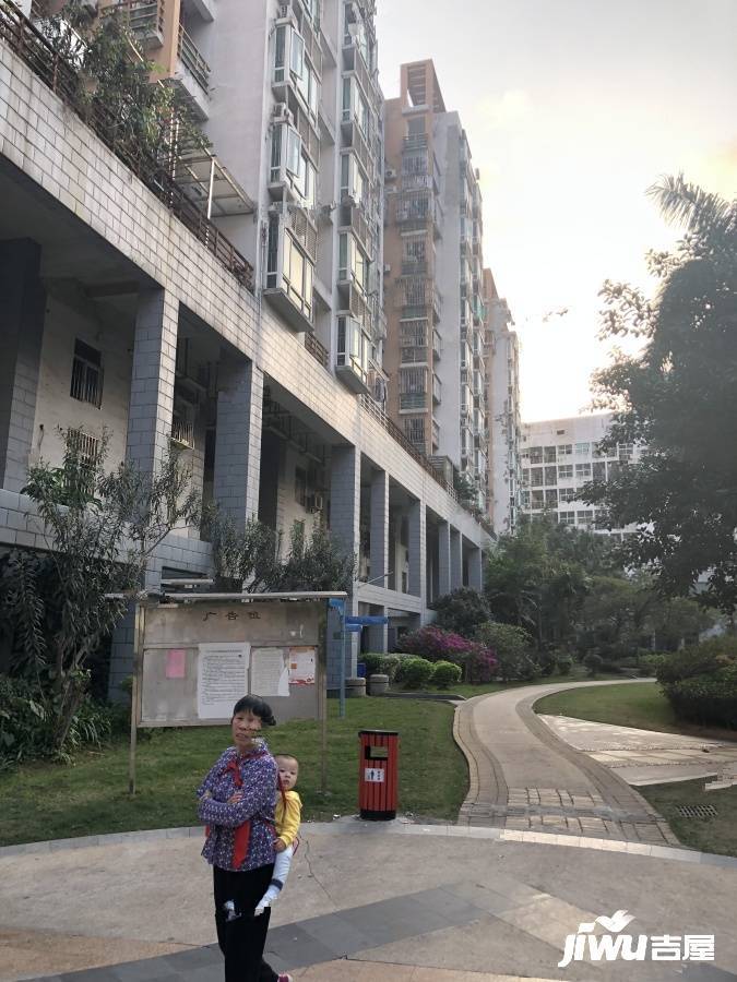 金运家园实景图图片