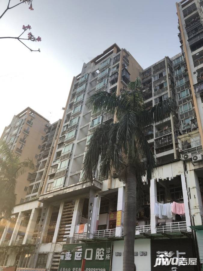 金运家园实景图图片
