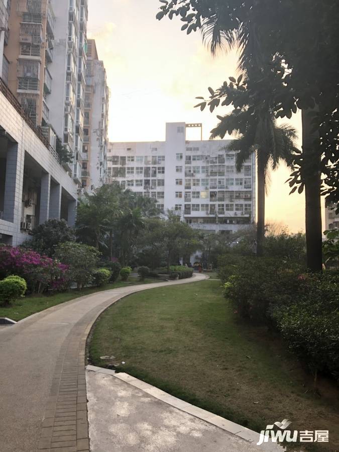 金运家园实景图图片