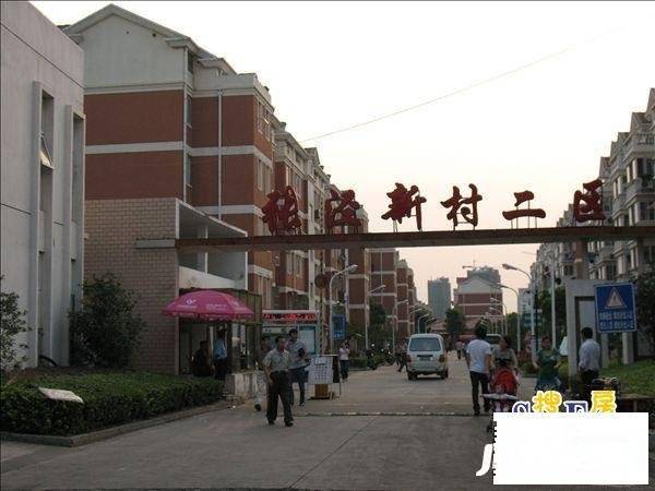 张泾二村实景图图片