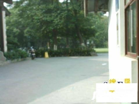带城桥下塘实景图图片