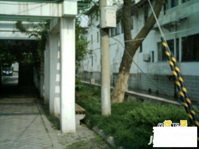 带城桥下塘实景图图片