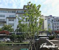 地园新村实景图图片