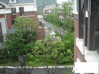中海国际社区一区别墅实景图图片