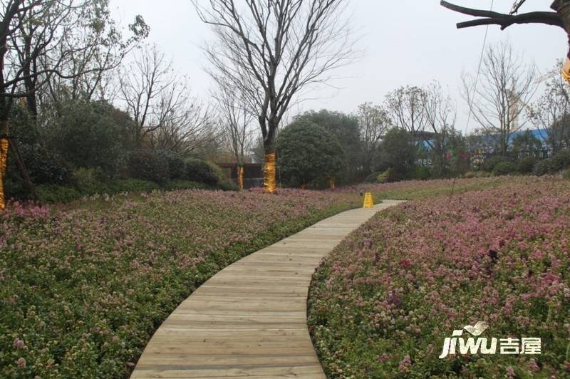 世茂石湖湾别墅实景图图片