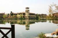 新湖明珠城别墅实景图图片