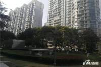 湖左岸三期实景图图片