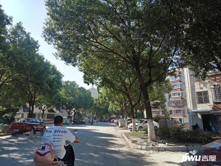 阳山花苑四区实景图图片