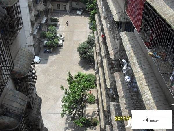 南湖路向东南社区实景图图片