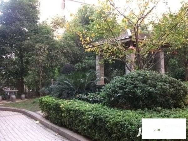 扫把塘社区实景图图片