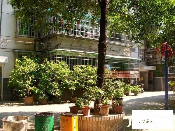 扫把塘社区实景图图片