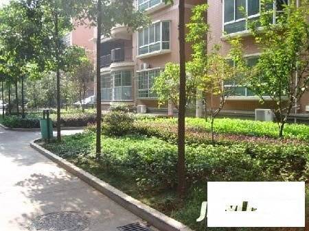 浦沅小区实景图图片