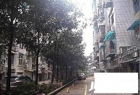 浦沅小区实景图图片