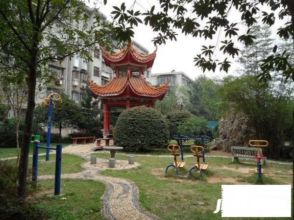 浦沅小区实景图图片