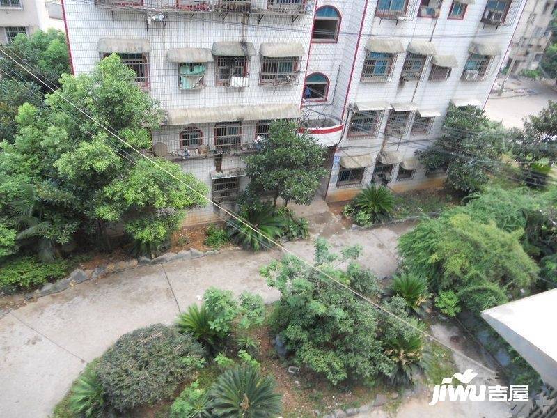 银盆岭三村实景图图片