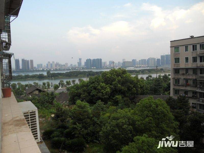 银盆岭三村实景图图片