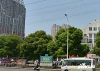 上河国际商业广场实景图16