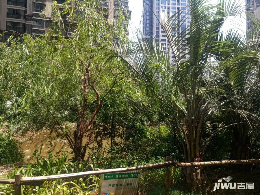 愿景童话里实景图图片