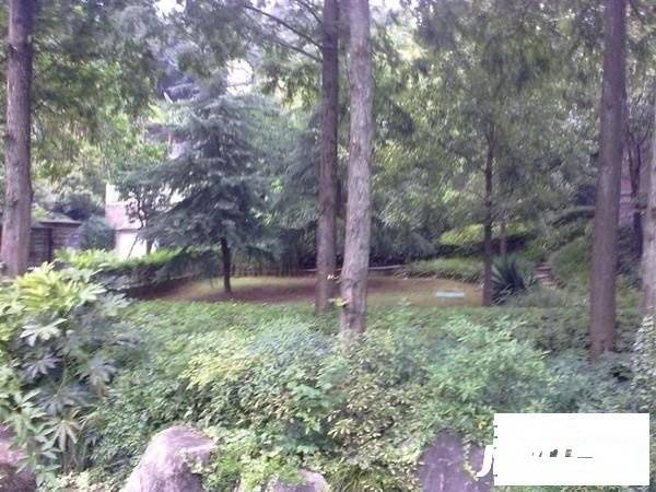 丹桂花园实景图图片