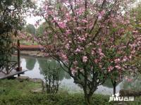 美麗洲別墅實景圖圖片