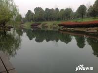 美麗洲別墅實景圖圖片