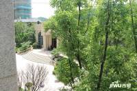 佳兆業西溪璞園排屋實景圖圖片