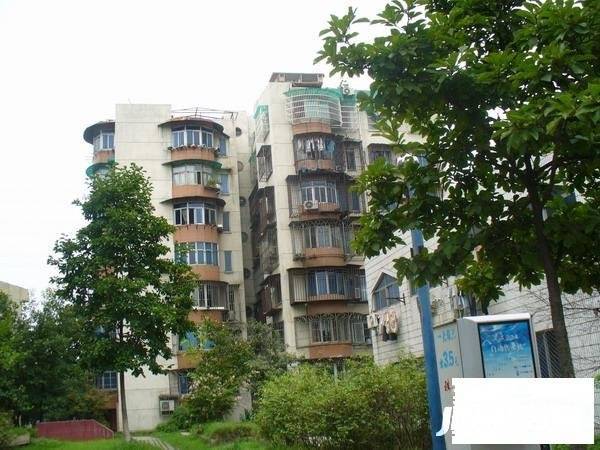 大关西苑实景图图片