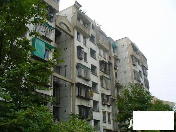 大关西苑实景图图片