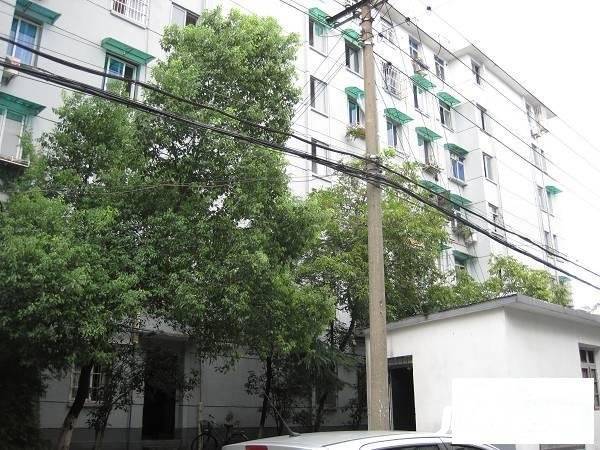 松木场河东实景图图片