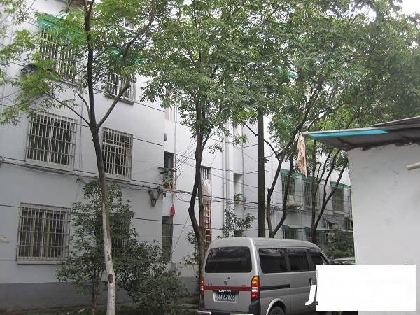 松木场河东实景图图片