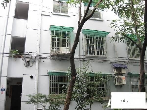 松木场河东实景图图片
