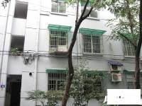 松木場河東實景圖圖片