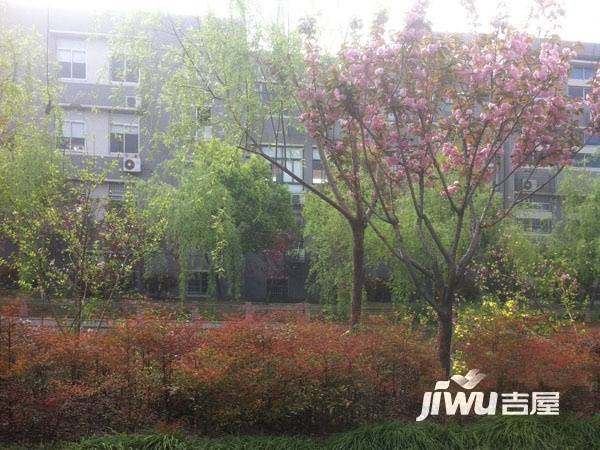 舟山東路小區實景圖圖片
